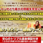 電脳せどりツール「サヤ取りせどらー最終バージョン」